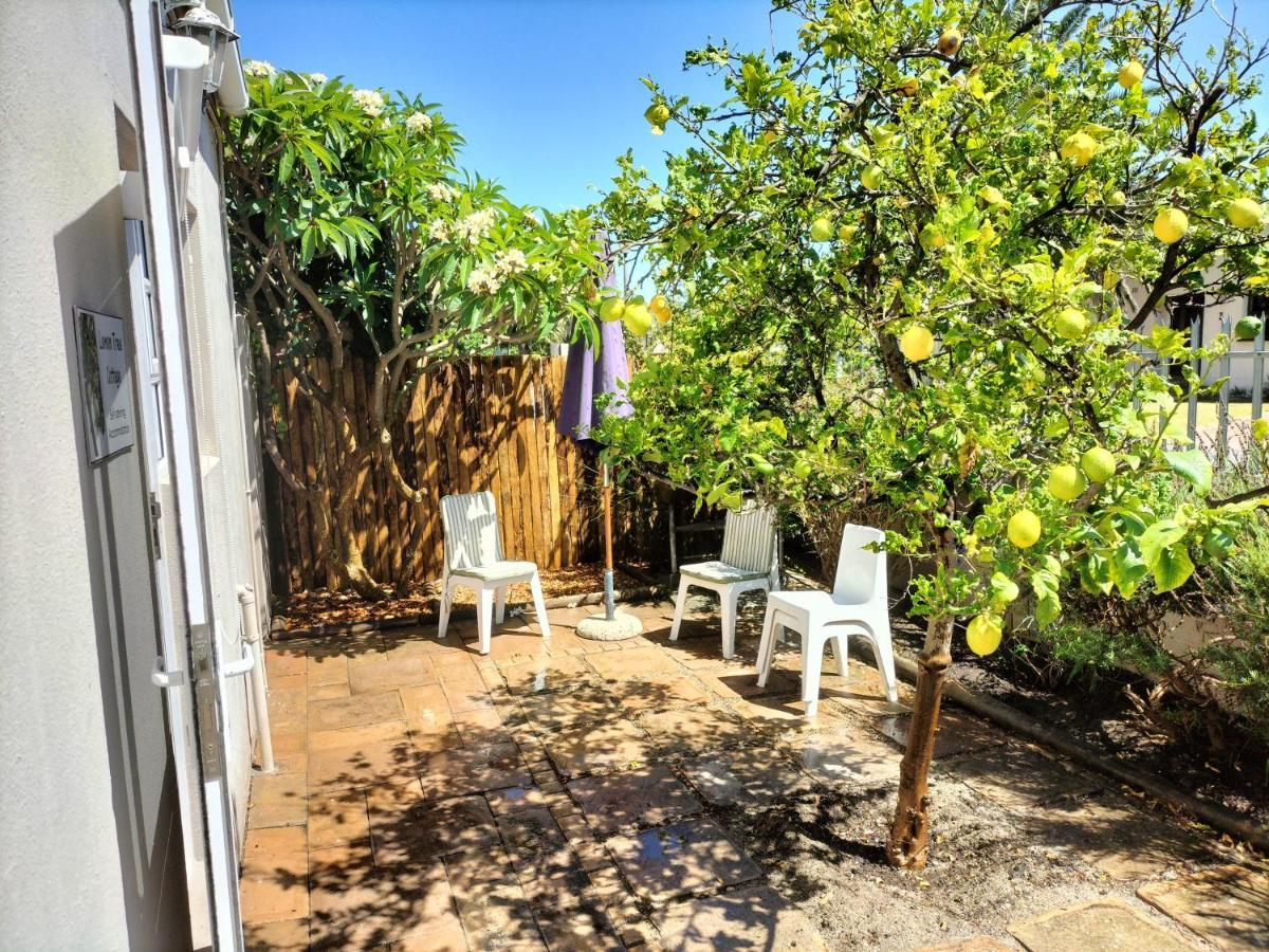 Lemon Tree Cottage Edgemead المظهر الخارجي الصورة