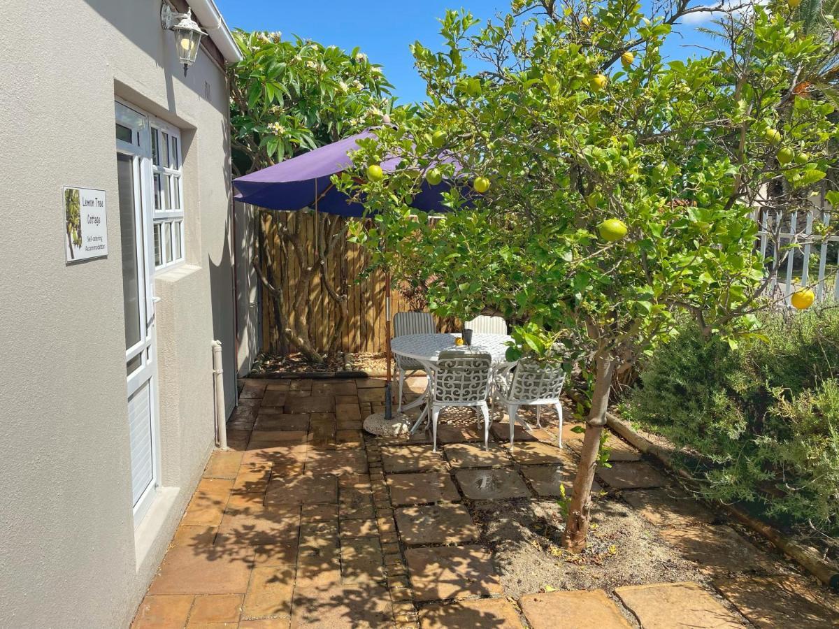 Lemon Tree Cottage Edgemead المظهر الخارجي الصورة