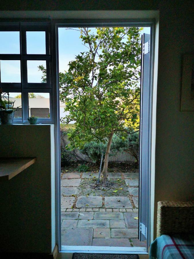 Lemon Tree Cottage Edgemead المظهر الخارجي الصورة